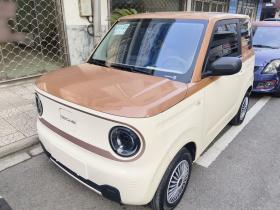 吉利银河 2024款 熊猫mini 200km 耐力熊