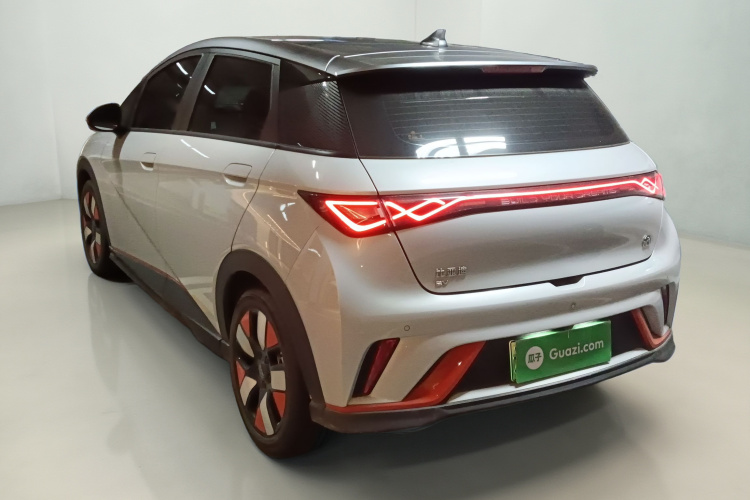 比亚迪 海豚 2021款 401km 骑士版车身外观5