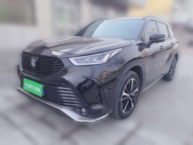 丰田 皇冠陆放 2021款 2.5L HEV四驱豪华版