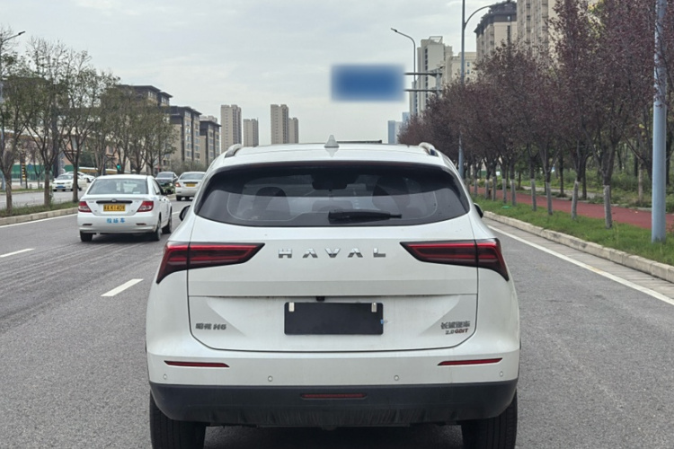 哈弗H6 2024款 2.0T 四驱Max车身外观6002