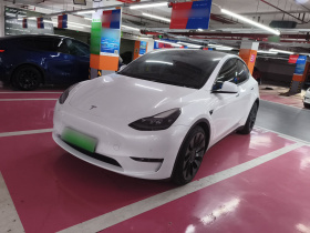 特斯拉 Model Y 2022款 Performance高性能全轮驱动版