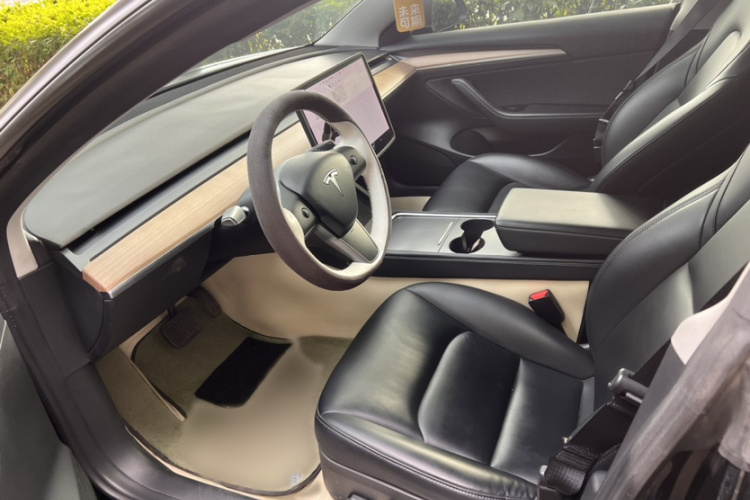 特斯拉 Model 3 2021款 标准续航后驱升级版 3D6局部细节19