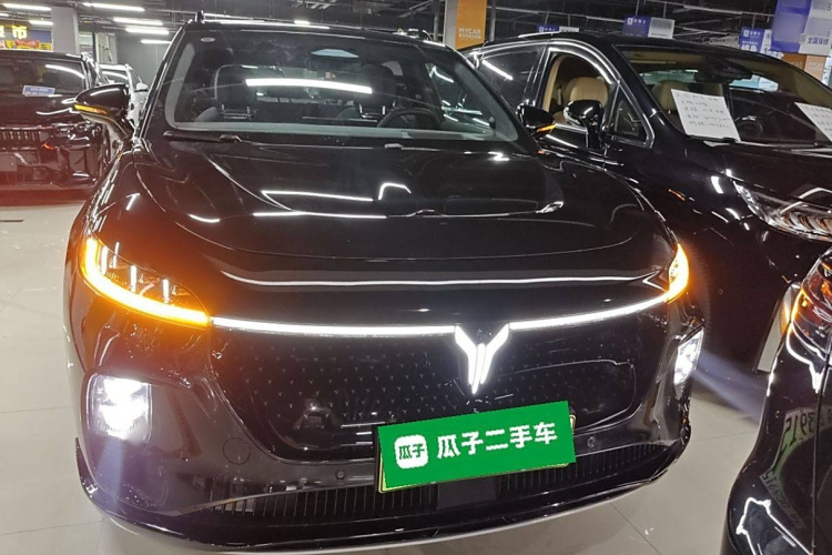 岚图汽车 岚图知音 2024款 四驱全球版车身外观6001