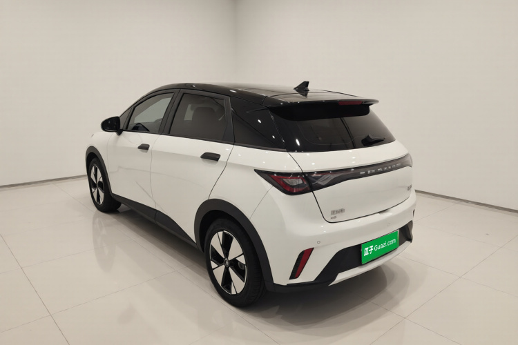 比亚迪 海豚 2023款 420km 时尚版车身外观5