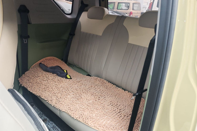 吉利银河 2025款 210km 熊猫骑士中控内饰21