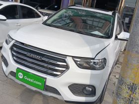 哈弗H6 2018款 运动版 1.5T 自动两驱精英型 国V