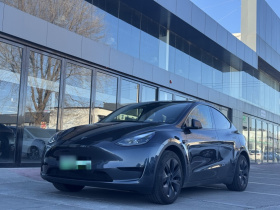 特斯拉 Model Y 2024款 后轮驱动版