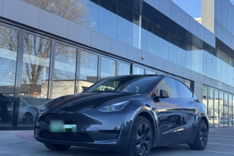 特斯拉 Model Y 2024款 后轮驱动版