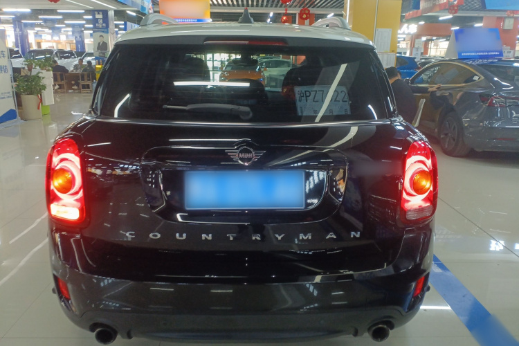 MINI Countryman 2018款 2.0T COOPER S ALL4 艺术家车身外观6004