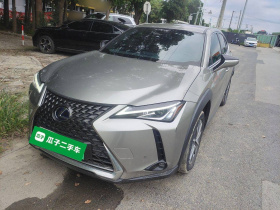 雷克萨斯UX新能源 2020款 300e 纯·悦版