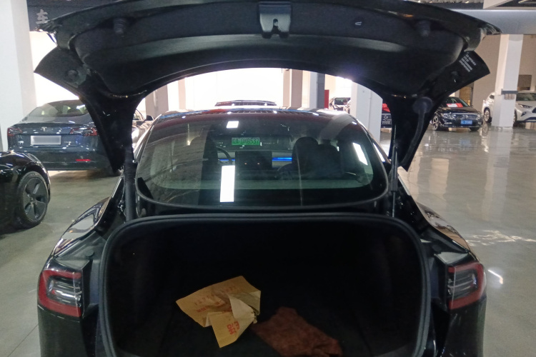 特斯拉 Model 3 2022款 后轮驱动版局部细节23