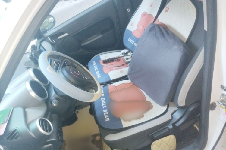 欧拉黑猫 2019款 351km 女神版局部细节19