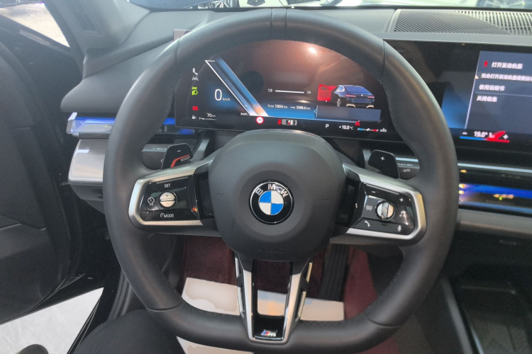 宝马5系 2024款 530Li 领先型 M运动套装局部细节13