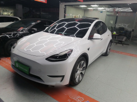 特斯拉 Model Y 2021款 标准续航后驱版