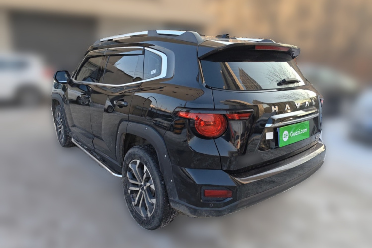 哈弗大狗 PLUS 2023款 2.0T 四驱潮野Plus车身外观5