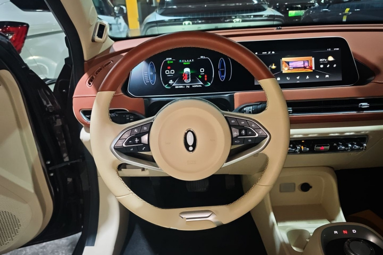 欧拉好猫 2021款 400km标准续航 雅典娜版 三元锂局部细节13