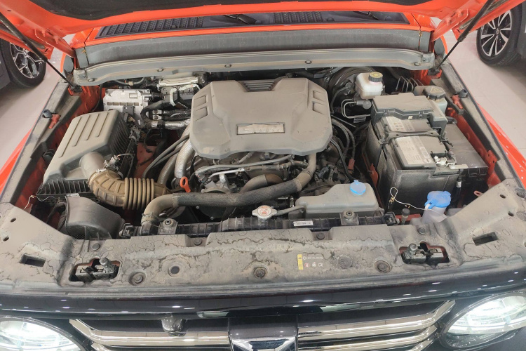 坦克300 2024款 2.0T 穿越者机舱底盘24