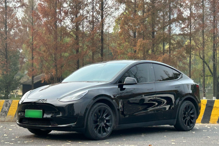 特斯拉 Model Y 2022款 后轮驱动版车身外观6001
