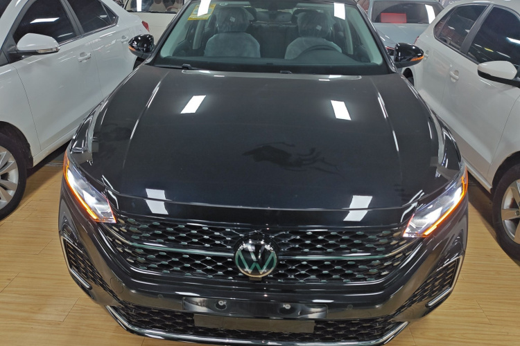 大众 帕萨特 2025款 出众款 380TSI 星空龙腾版车身外观6001