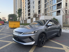 比亚迪 秦PLUS 2025款 EV 智驾版 420KM领先型