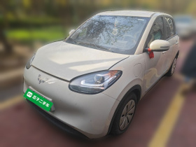 五菱汽车 五菱缤果 2023款 333km 快享款