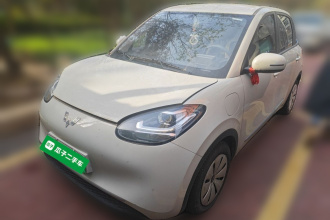 五菱汽车 五菱缤果 2023款 333km 快享款