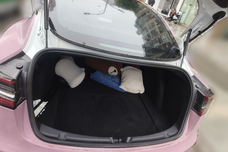 特斯拉 Model 3 2020款 改款 标准续航后驱升级版中控内饰23