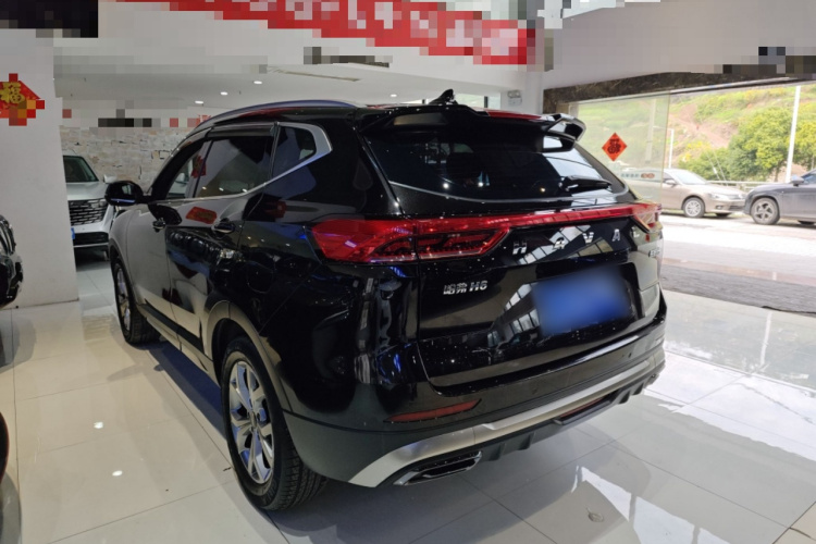 哈弗H6 2021款 国潮版 1.5T 自动冠军版车身外观6005