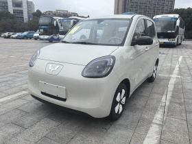 五菱汽车 宏光MINIEV 2025款 四门版 进阶款