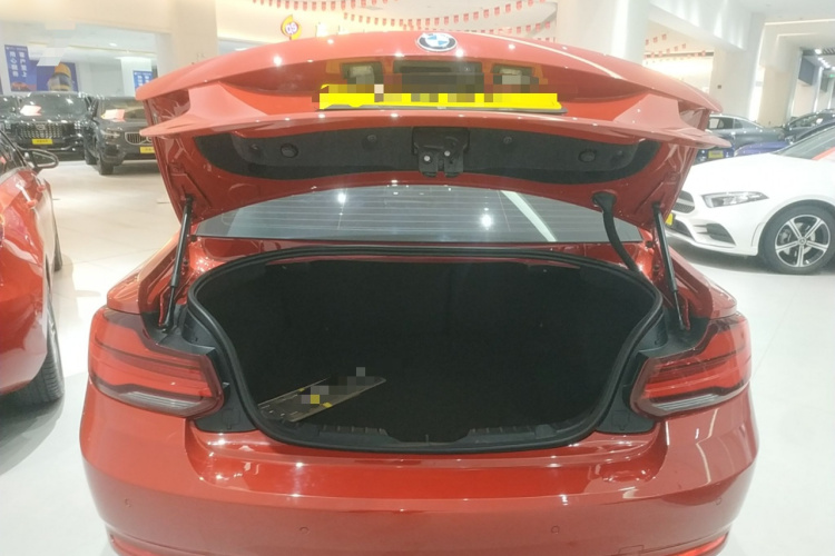 宝马2系(进口) 2019款 225i 运动设计套装机舱底盘23