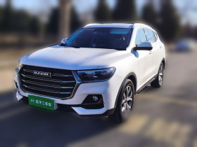 哈弗H6 2021款 国潮版 1.5T 自动冠军版