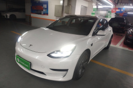 特斯拉 Model 3 2021款 标准续航后驱升级版