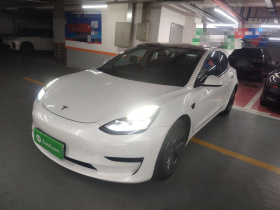 特斯拉 Model 3 2021款 标准续航后驱升级版