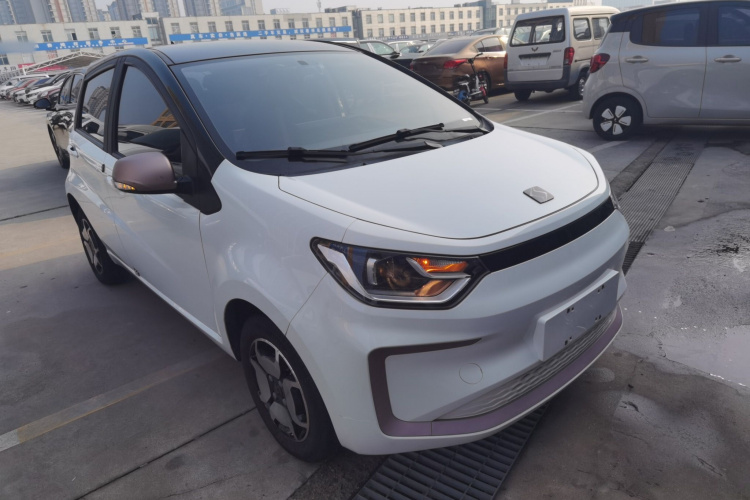 思皓 2022款 花仙子款 四叶草车身外观6002