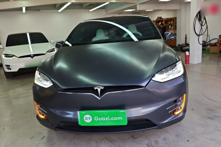 特斯拉 Model X 2019款 Performance 高性能版车身外观2