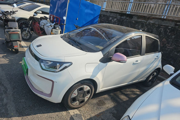 思皓 2022款 花仙子款 四叶草车身外观4