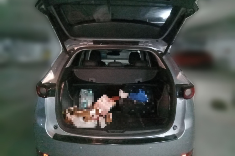 马自达CX-5 2020款 改款 2.0L 自动两驱智尊型中控内饰23