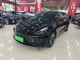 特斯拉 Model 3 2021款 标准续航后驱升级版
