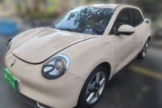 欧拉好猫 2021款 400km标准续航 维纳斯版 磷酸铁锂