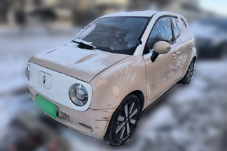 欧拉黑猫 2021款 351km 标准型