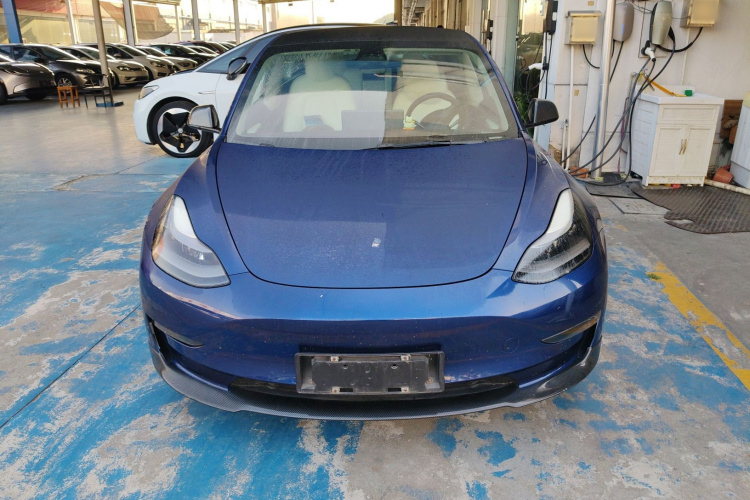 特斯拉 Model 3 2021款 Performance高性能全轮驱动版车身外观6001