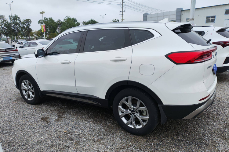 哈弗H6 2021款 国潮版 1.5T 自动冠军版车身外观4