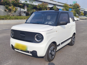 吉利银河 2023款 熊猫mini 200km 灵动熊
