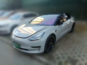特斯拉 Model 3 2020款 标准续航后驱升级版
