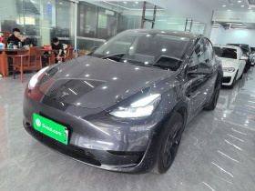 特斯拉 Model Y 2024款 后轮驱动版