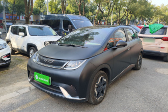 比亚迪 海豚 2021款 405km 时尚版