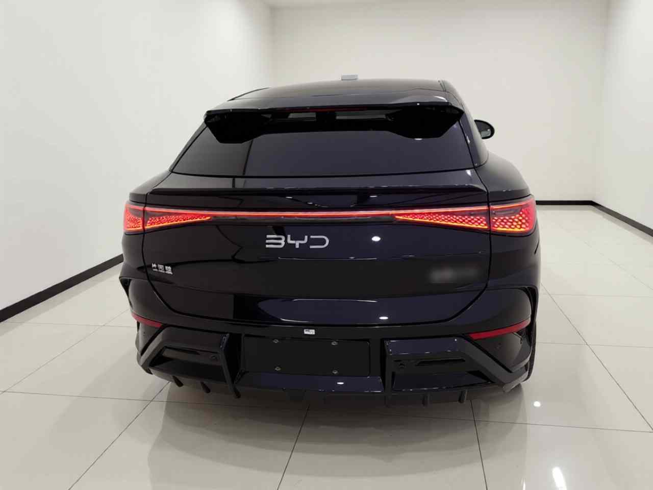 比亚迪 海狮07 EV 2024款 610长续航版(4)