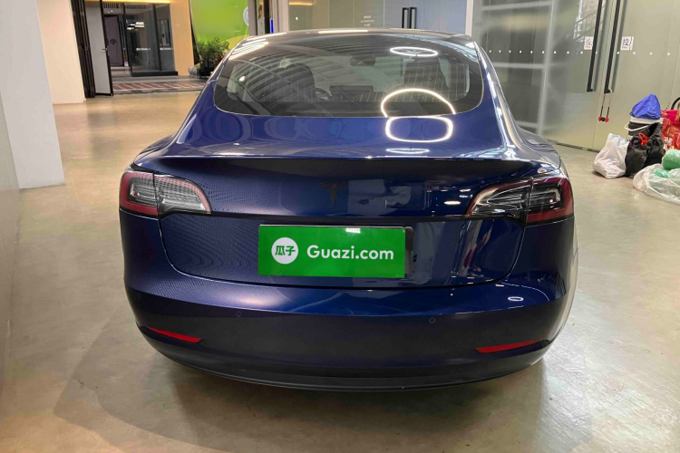 特斯拉 Model 3(进口) 2019款 长续航后驱版车身外观6005
