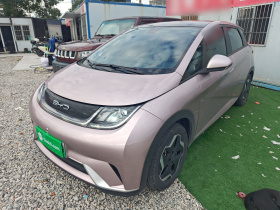 比亚迪 海豚 2021款 405km 时尚版