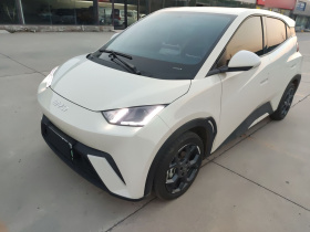 比亚迪 海鸥 2024款 荣耀版 305km 自由版